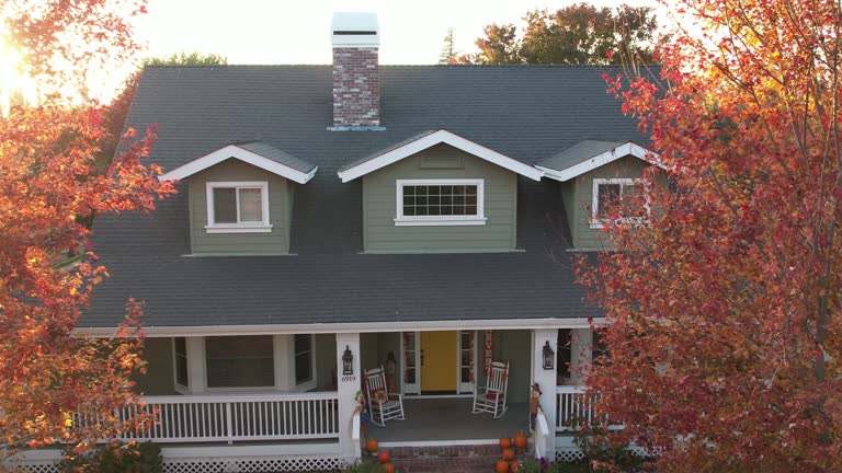 Best Chimney Flashing Repair  in St Elmo, IL
