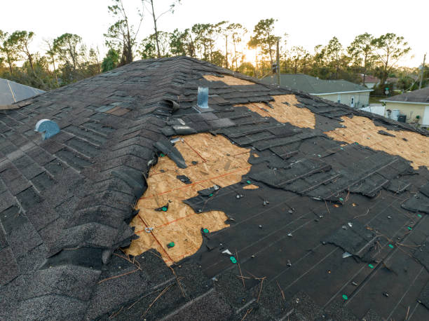 Best Steel Roofing  in St Elmo, IL